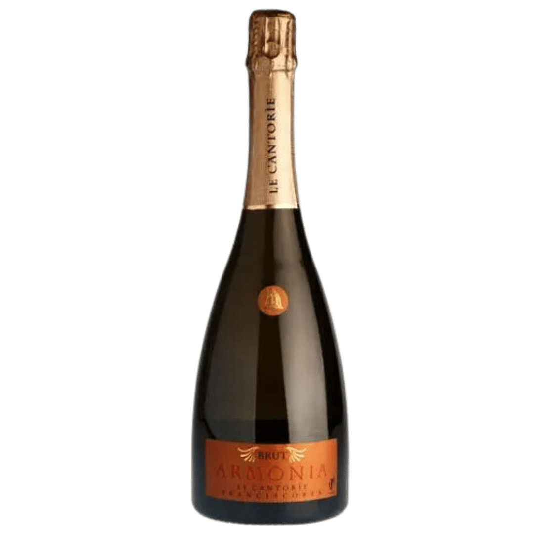 Bollicine